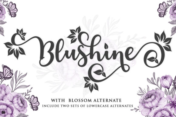Blushine Script: Your Go-To for Effortless Elegance
