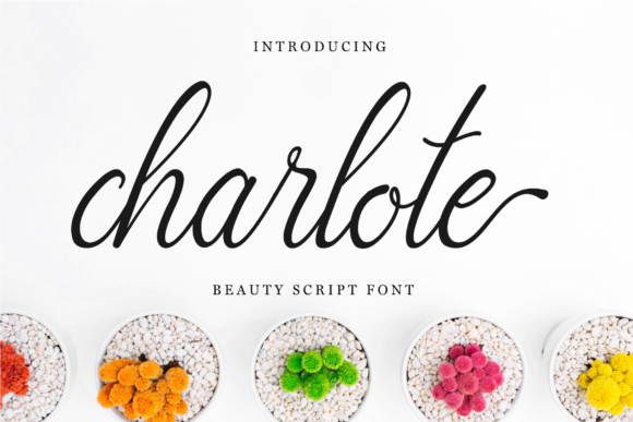 Charlote Script: A Designer's Guide to This Delicate Typeface