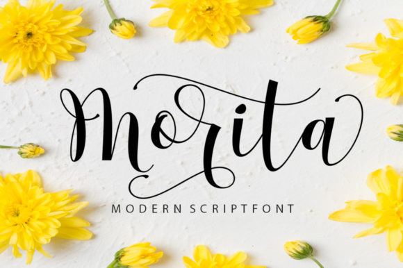 Morita Script: A Fresh Approach to Modern Typography