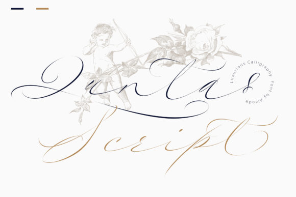 Quntas Script: Where Thin Lines Meet Ravishing Style