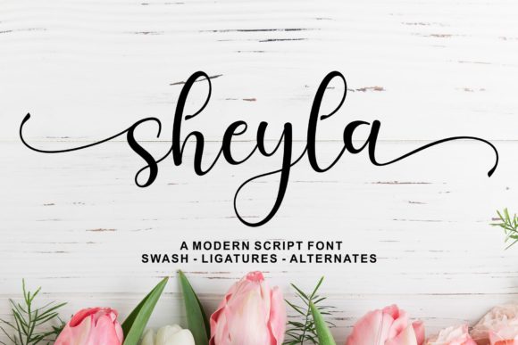 Sheyla Script: A Love Letter in Every Letterform