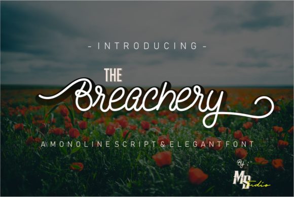 The Breachery Script: Elevating Your Creative Projects
